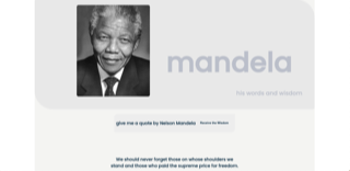 Nelson Mandela Project